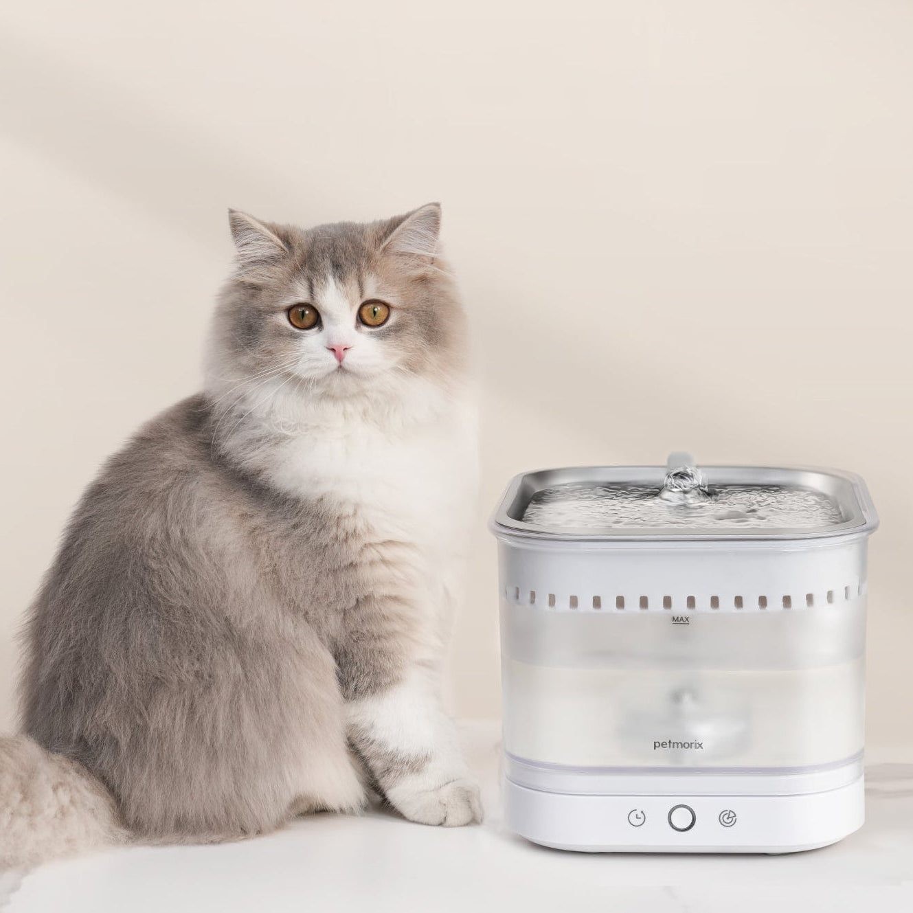 petmorix best water fountain for home use