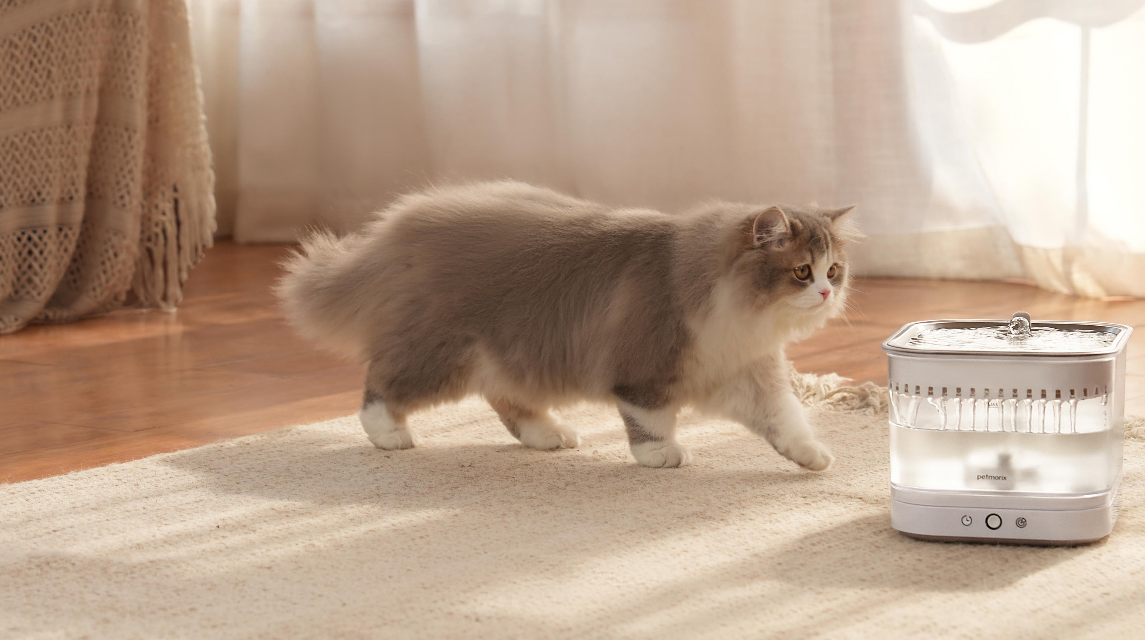 petmorix pet water fountain top-rated pet water fountains with easy-to-clean features