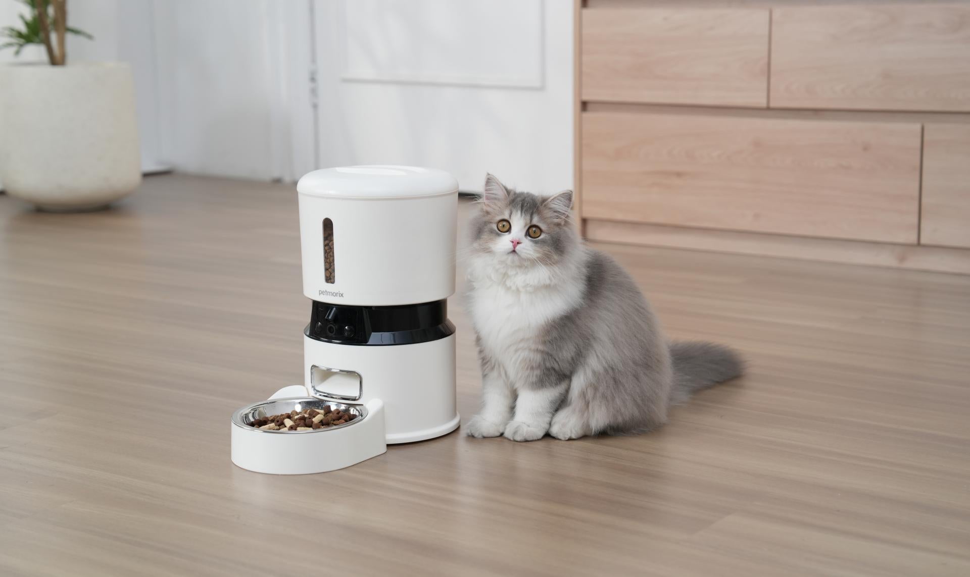 petmorix pet feeders with webcam monitoring and remote feeding options