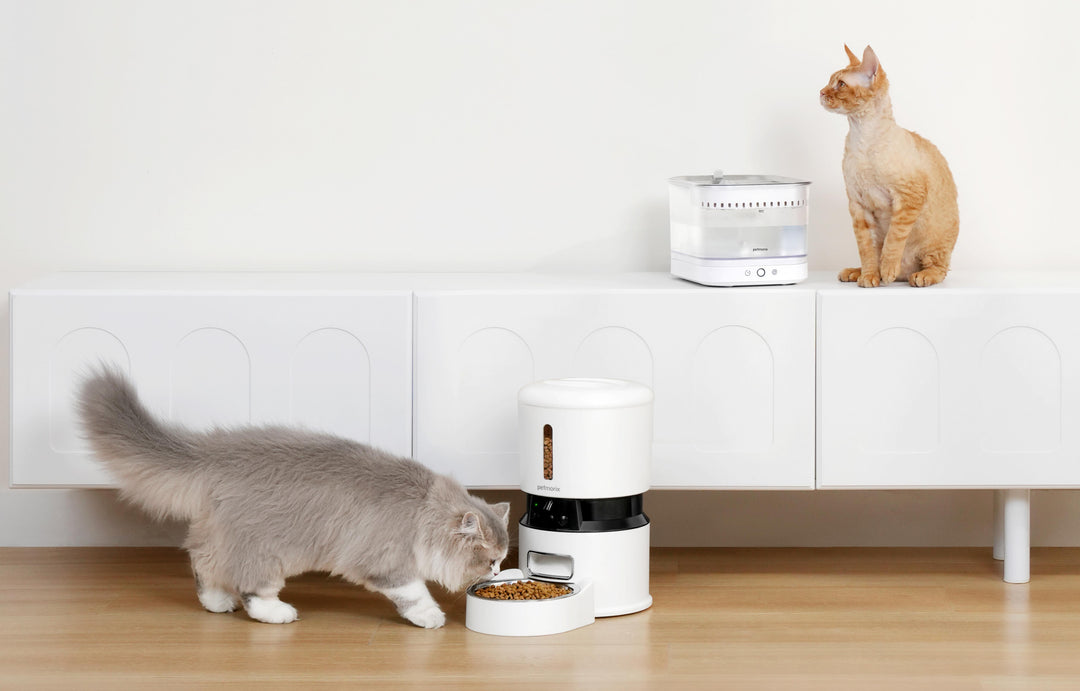 petmorix water fountain for pets pet feeder automatic cat