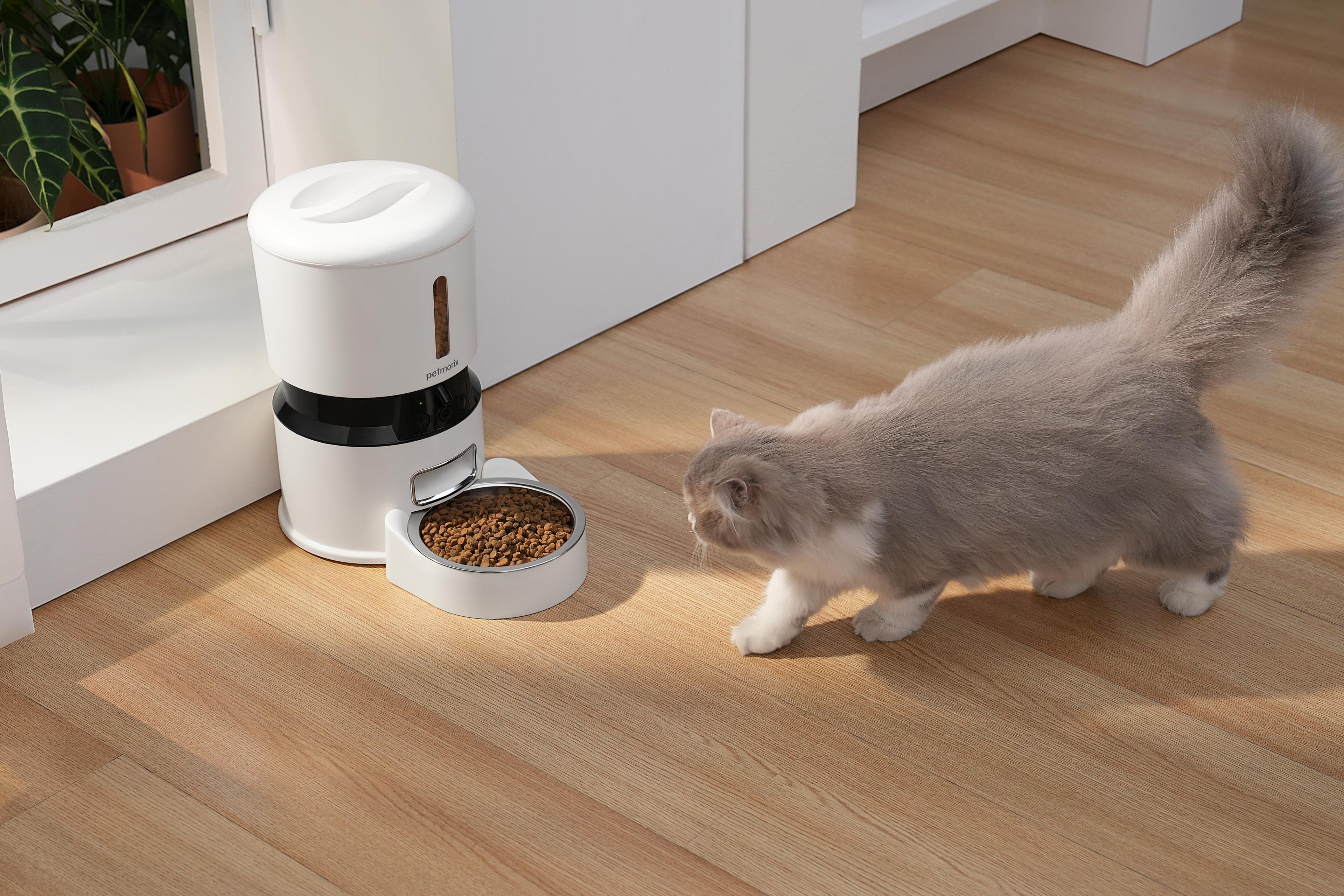 petmorix pet feeders with webcam monitoring and remote feeding options