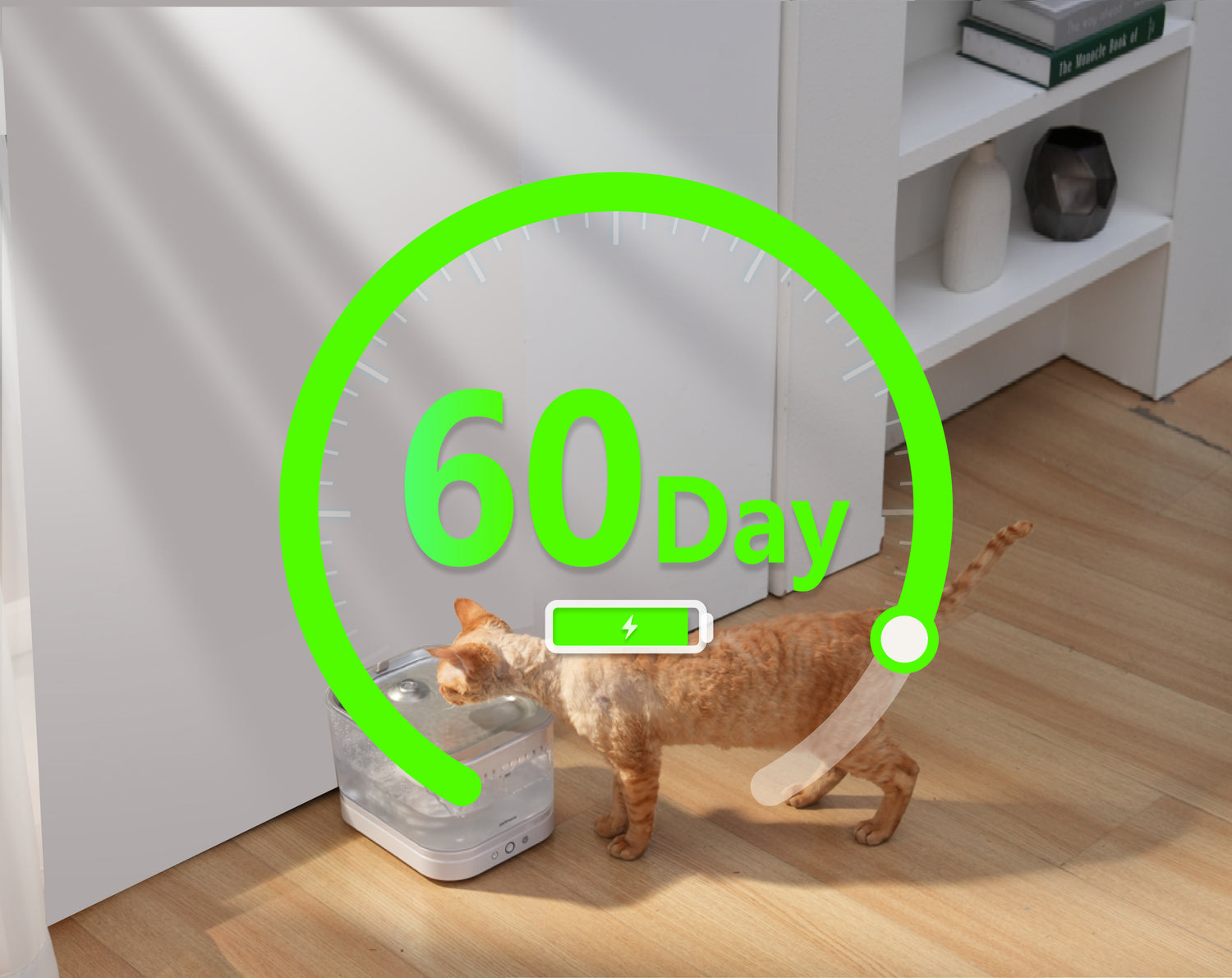 pet water fountain with filter