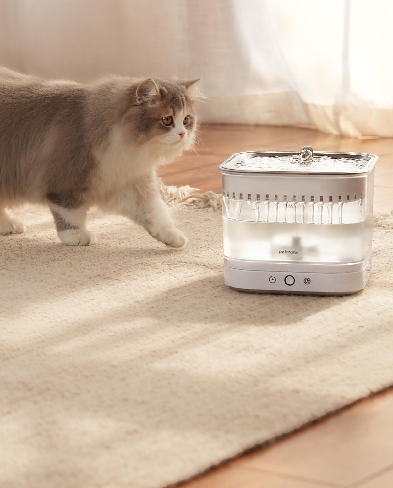 petmorix safe pet water fountain cordless with filters 