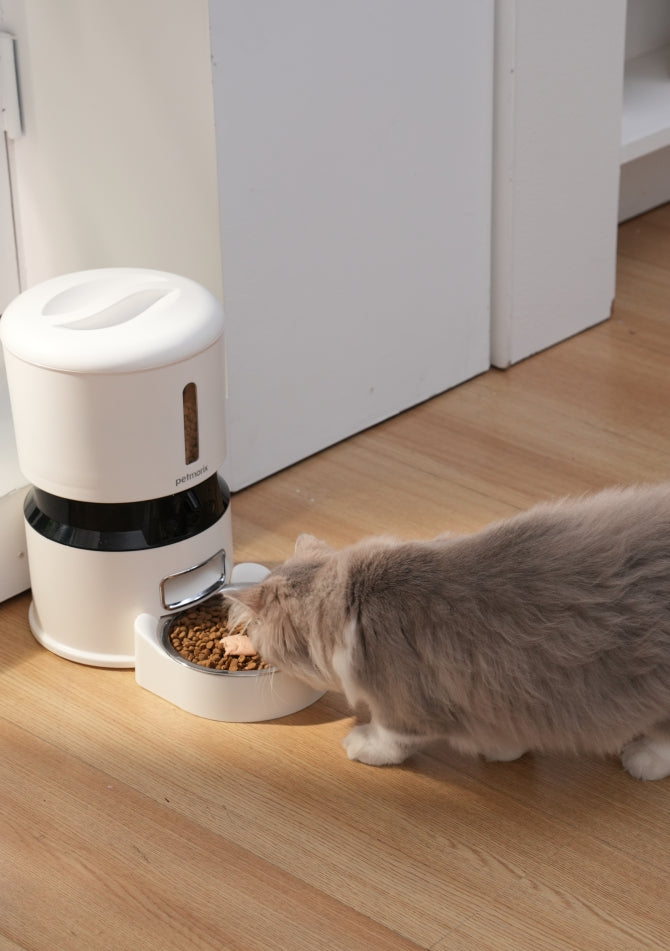 petmorix pet feeder home assistant
