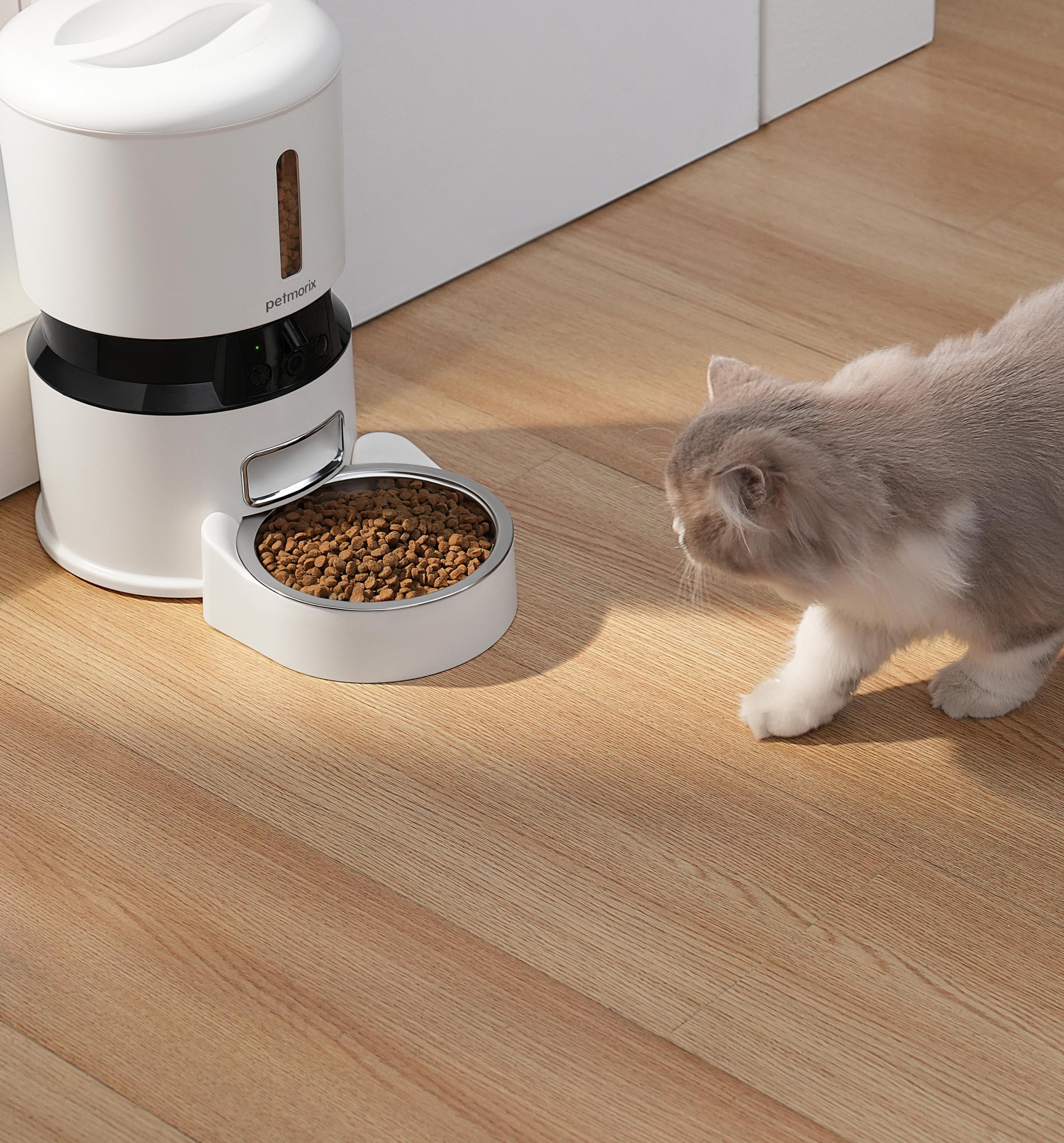 petmorix pet feeder automatic with camera 