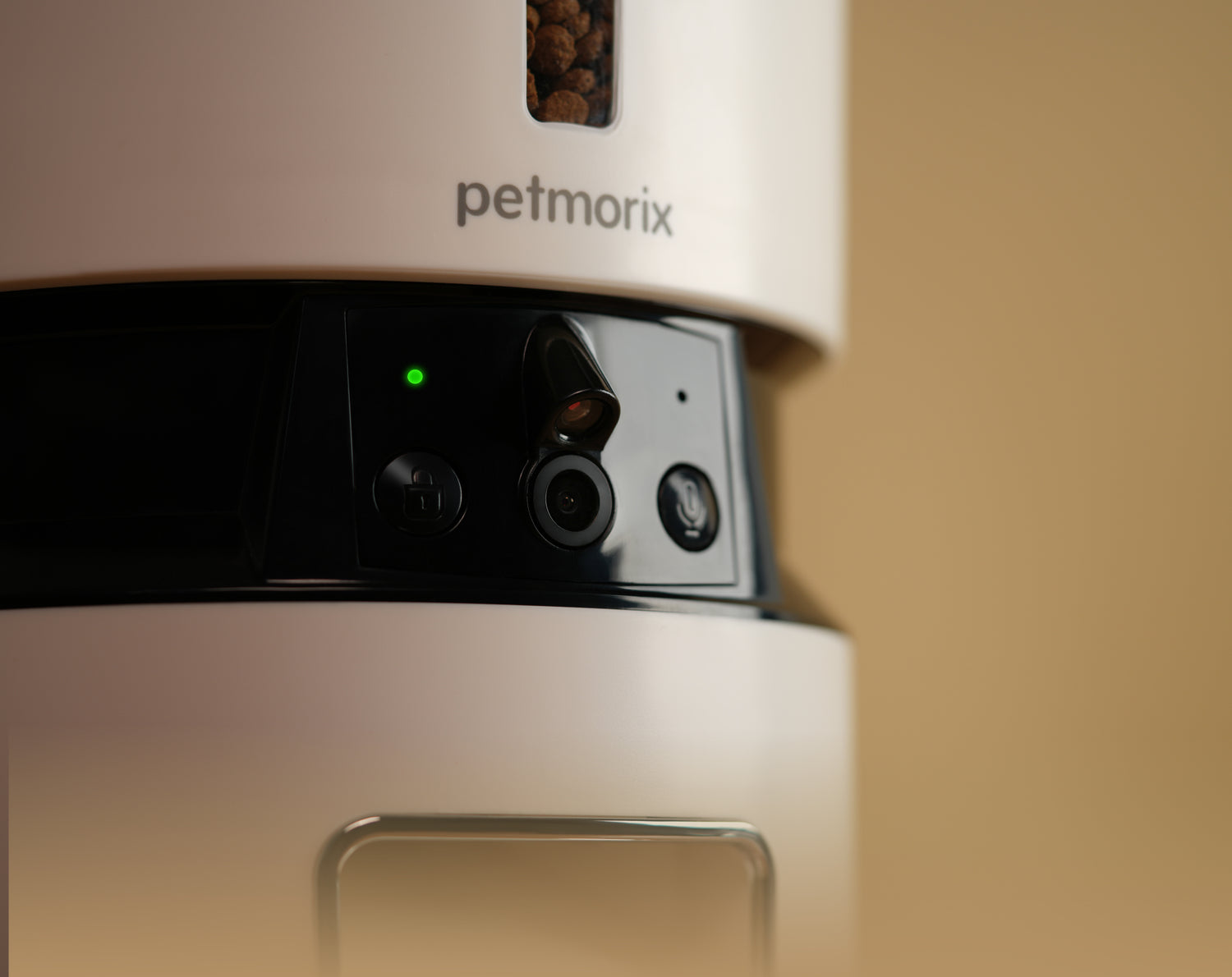 petmorix best cat feeder