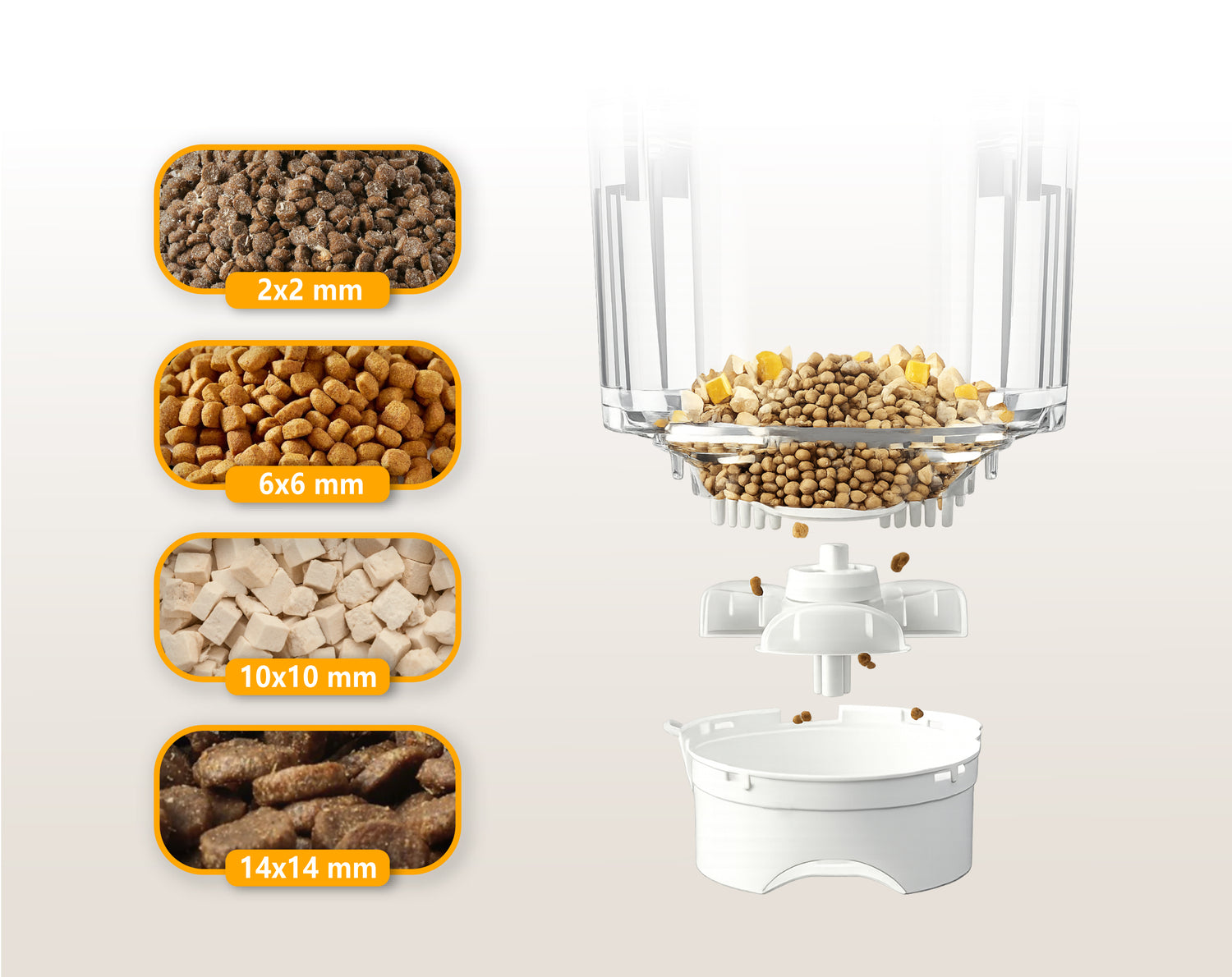 petmorix cat with automatic feeder 