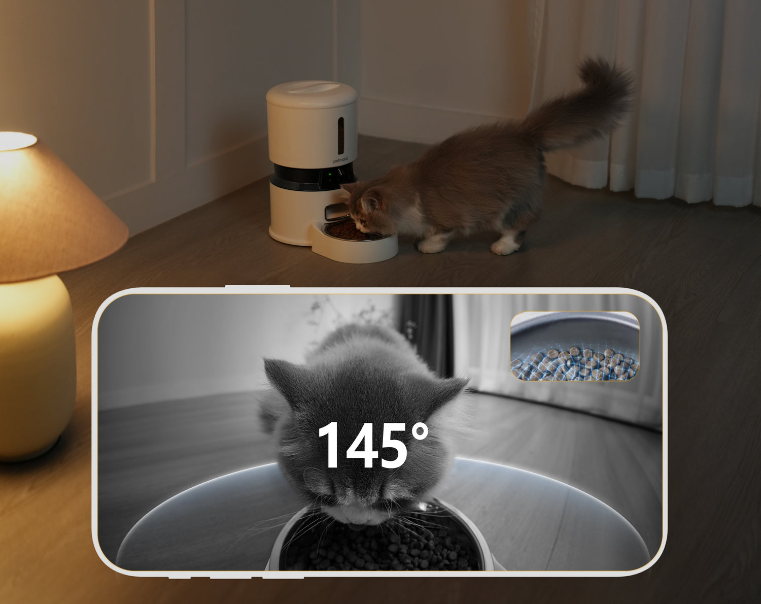 petmorix best automatic cat feeder 