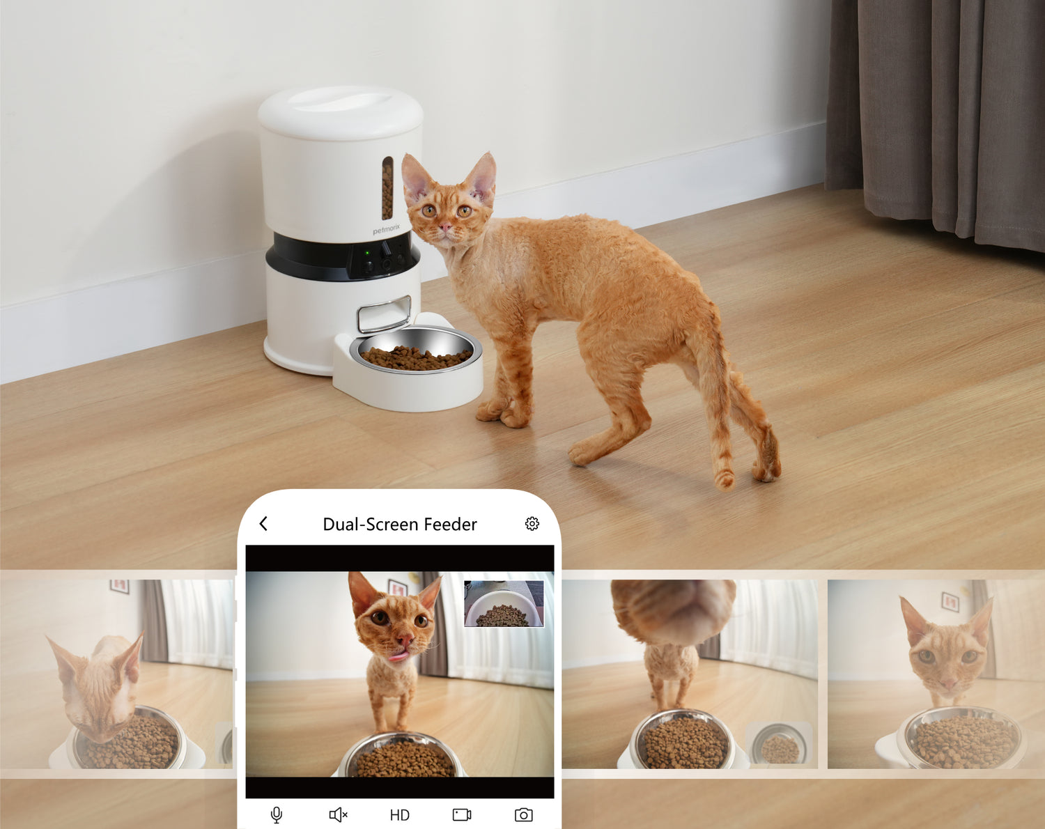petmorix where to buy a reliable programmable pet feeder online
