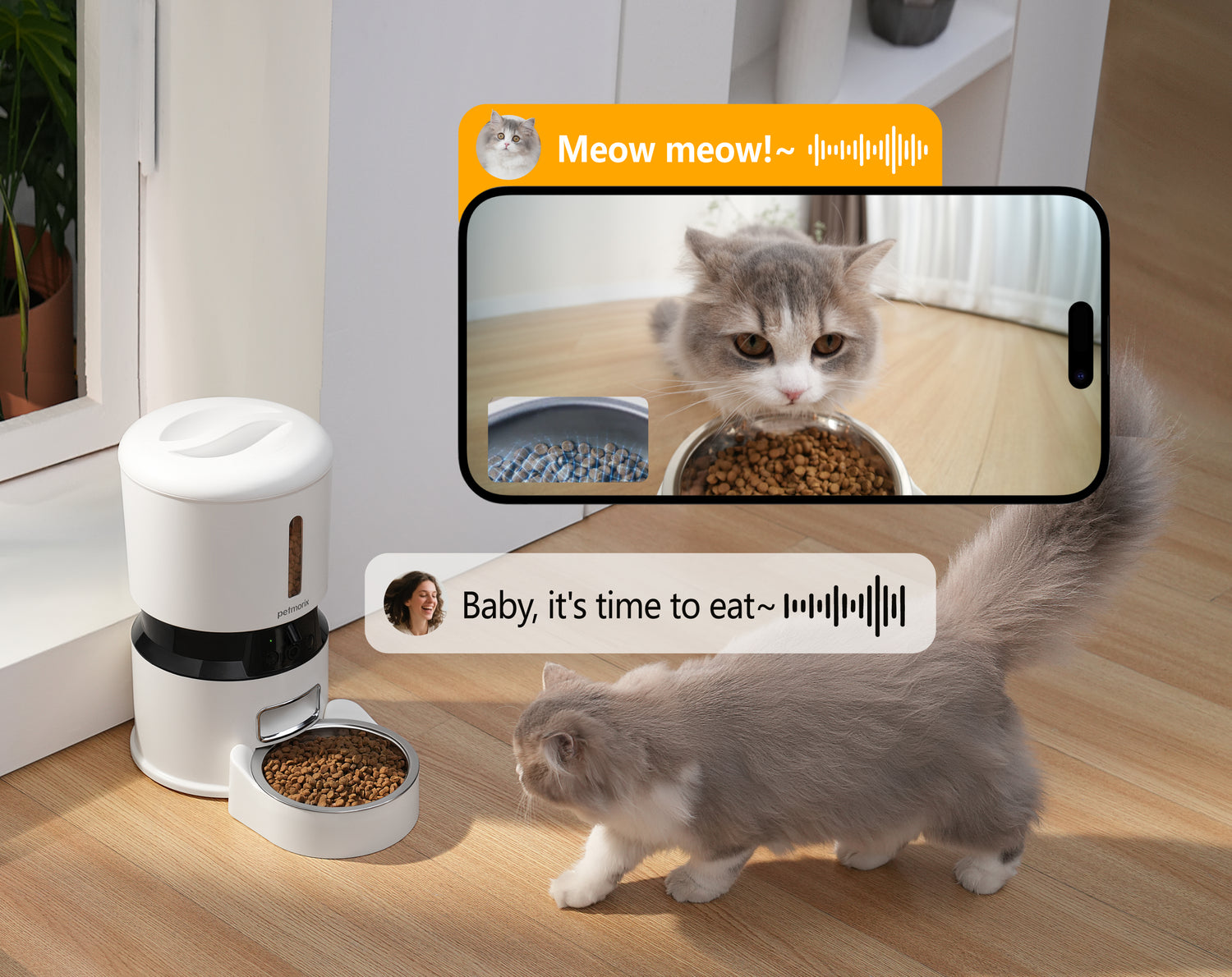 petmorix pet feeder with timer