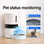 petmorix pet feeder automatic cat
