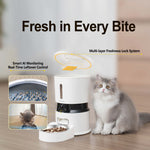 petmorix automatic pet feeder near me