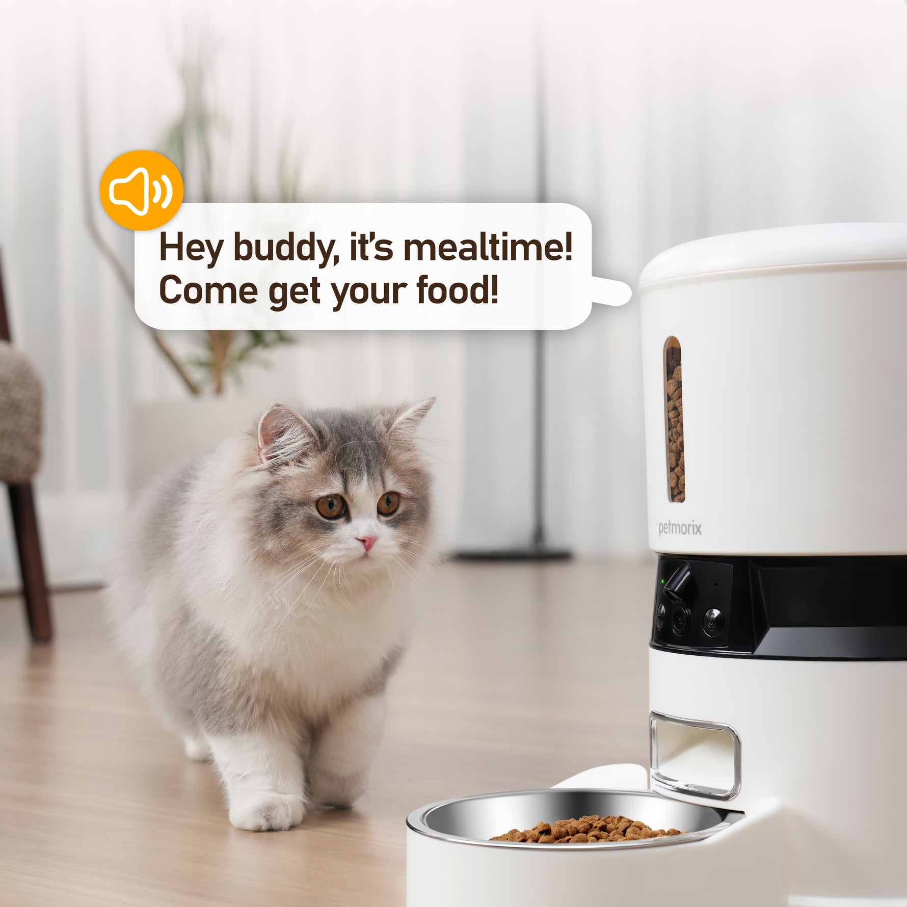 petmorix cat with automatic feeder 