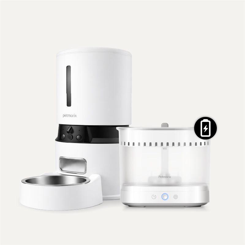 petmorix automatic pet feeder manual clear deep pet water fountain where you can see the water level