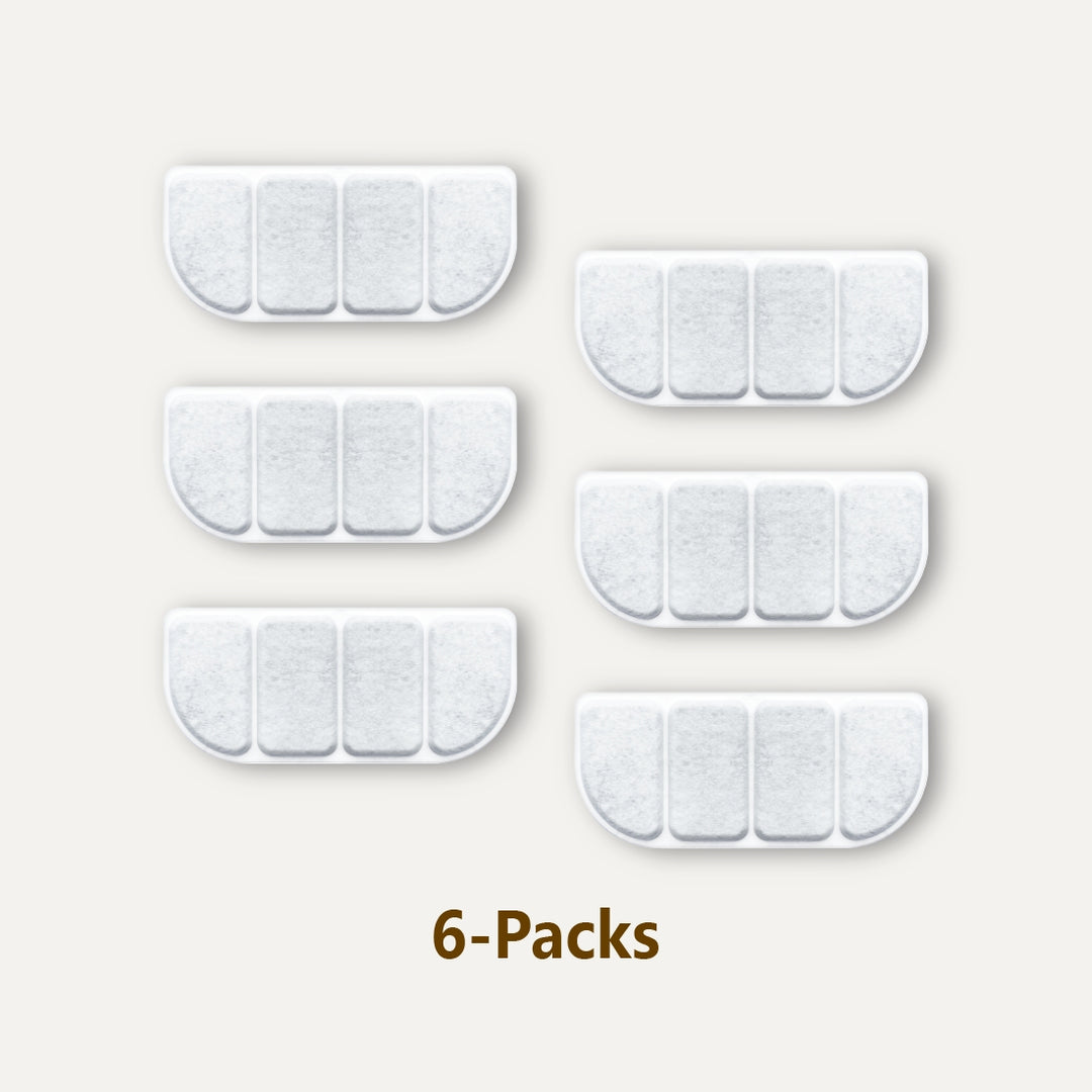 petmorix pet water fountain benefits