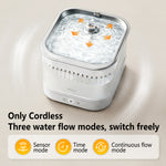 petmorix pet water fountain nearby