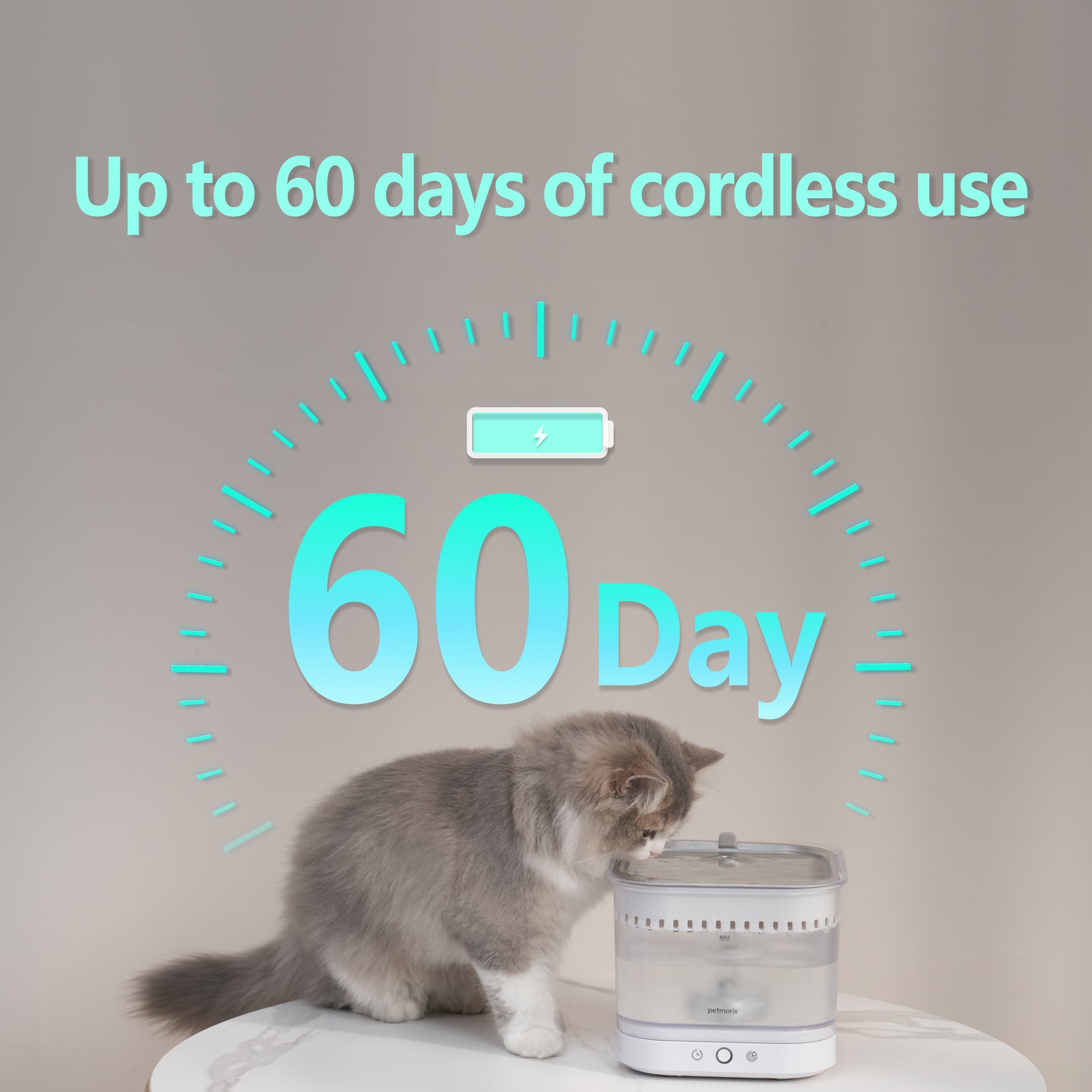 petmorix pet water fountain cordless